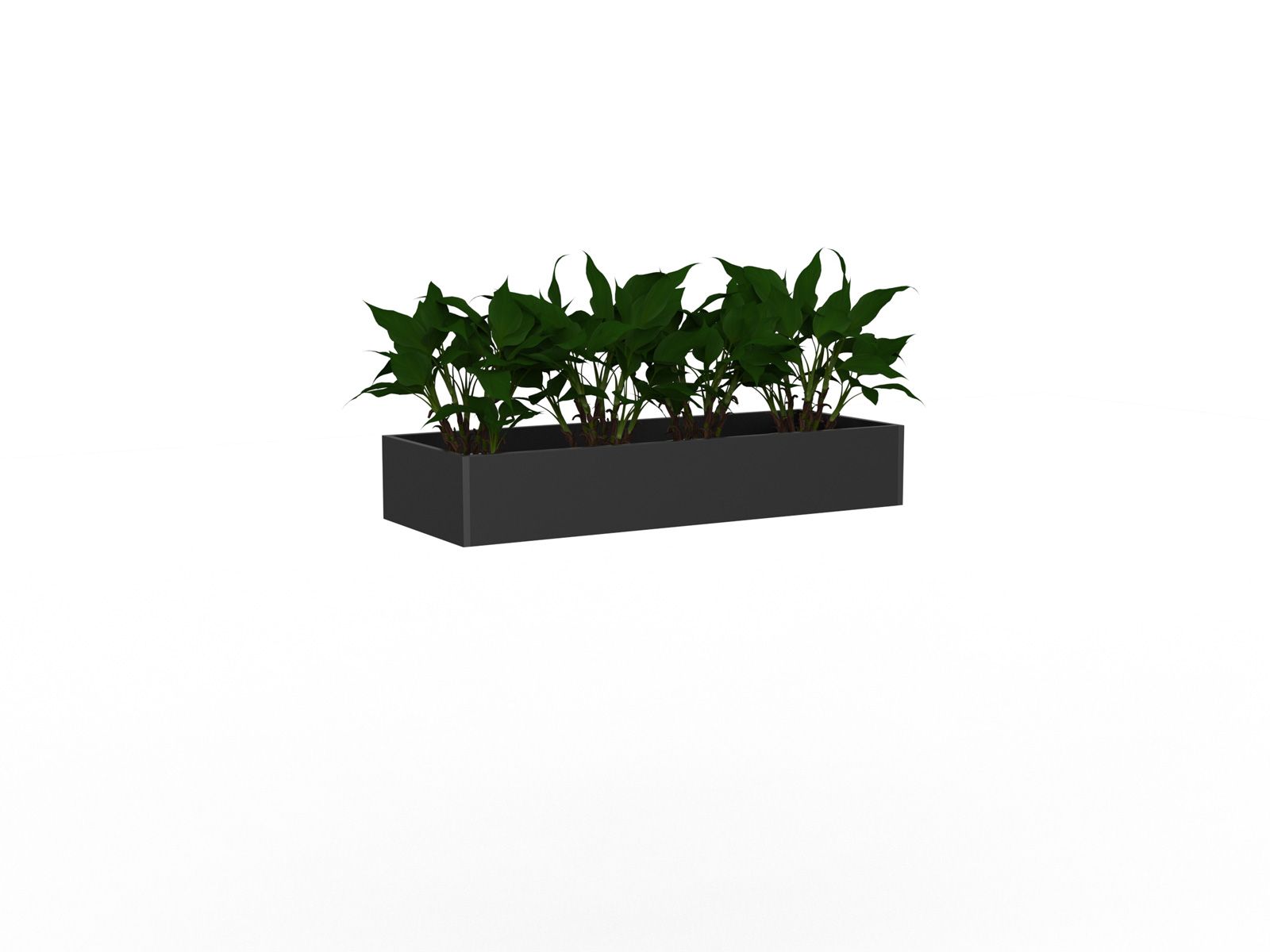 Cubit Planter Box