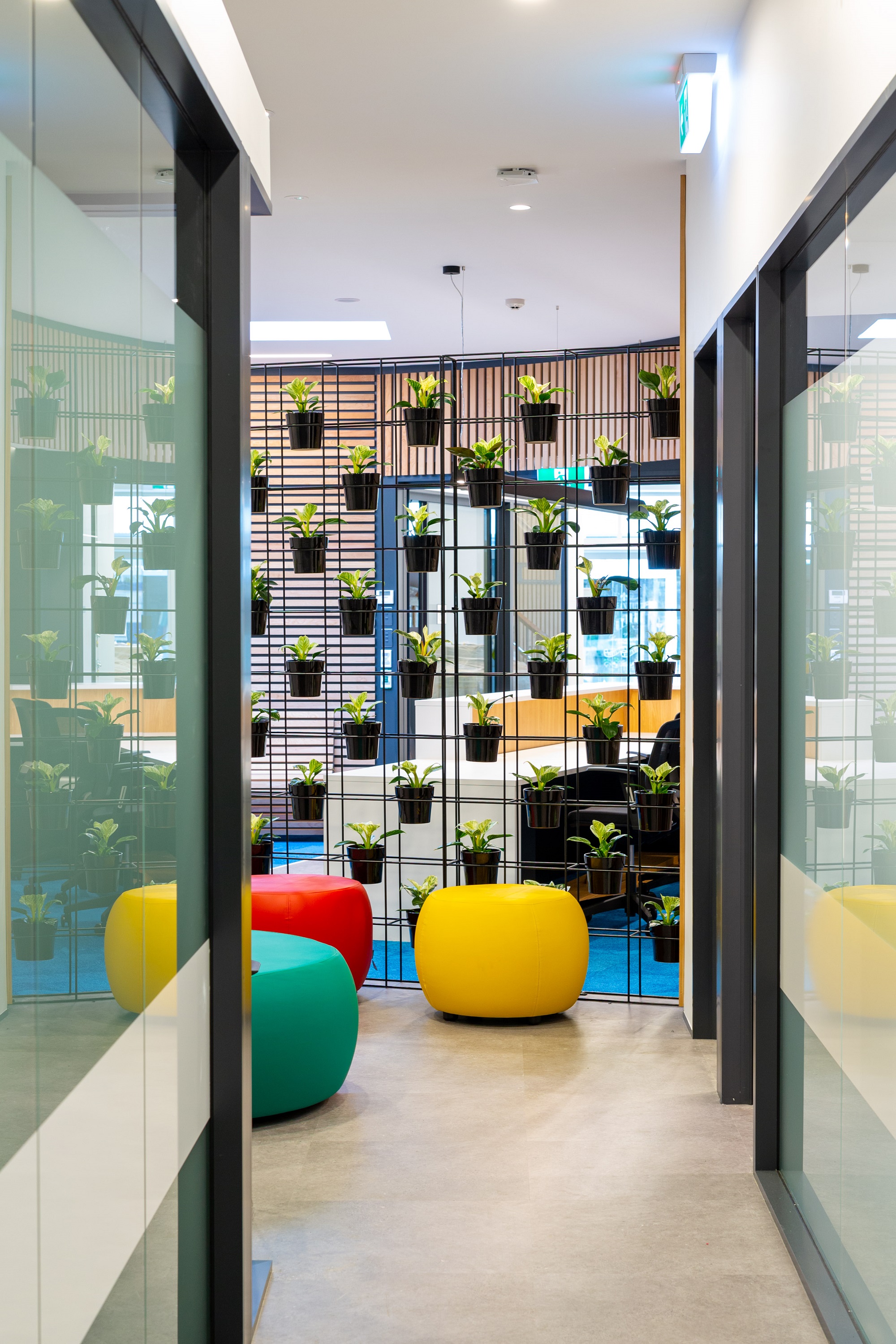 Project Devonport Health Centre Archer Medical